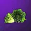 Material Flat Cabbage | Chimeraland - /chimeraland/materials/flat-cabbage/flat-cabbage.webp