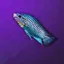 Leopardfish